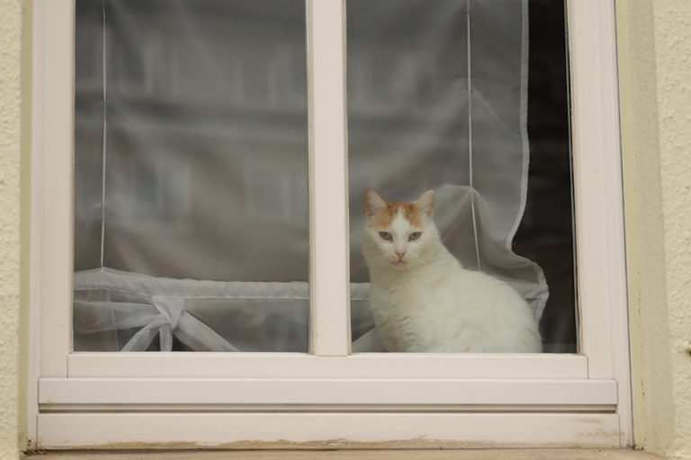 How to Get Out Mats in Cat Fur: Expert Tips
