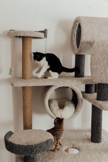 How to Make Cats Not Scratch Furniture: Effective Tips