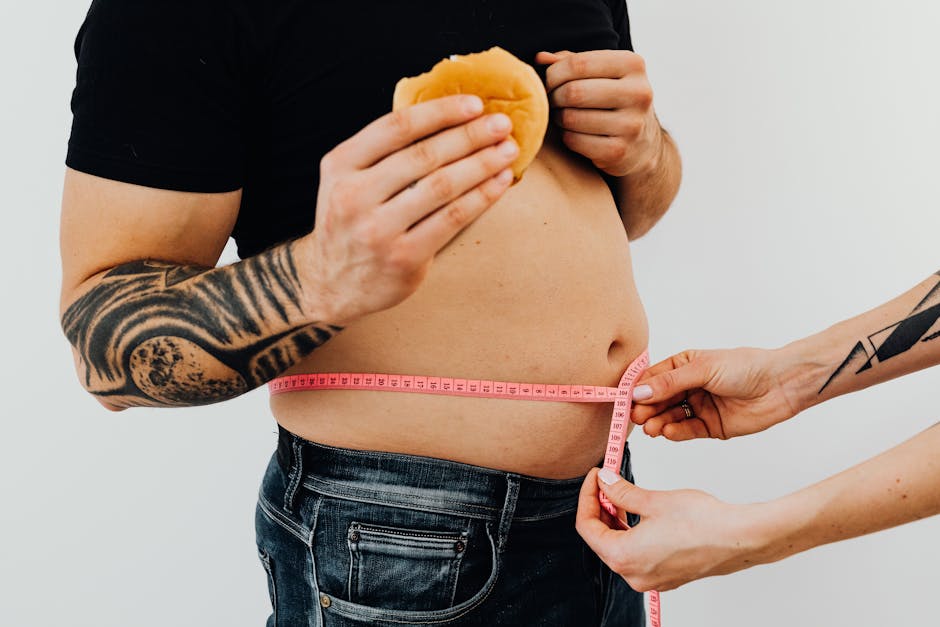What Cat Food is Best for Weight Loss: Top Picks