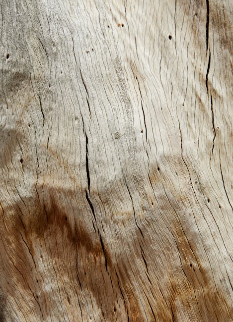 Will Cats Scratch Furniture: Tips to Prevent Damage