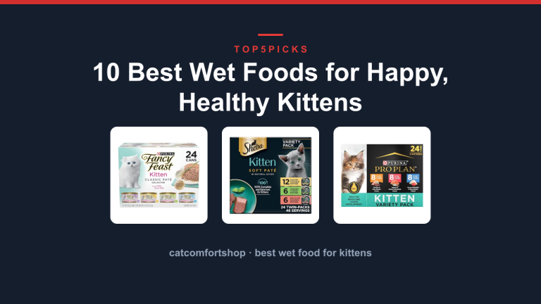 10 Best Wet Foods for Happy, Healthy Kittens