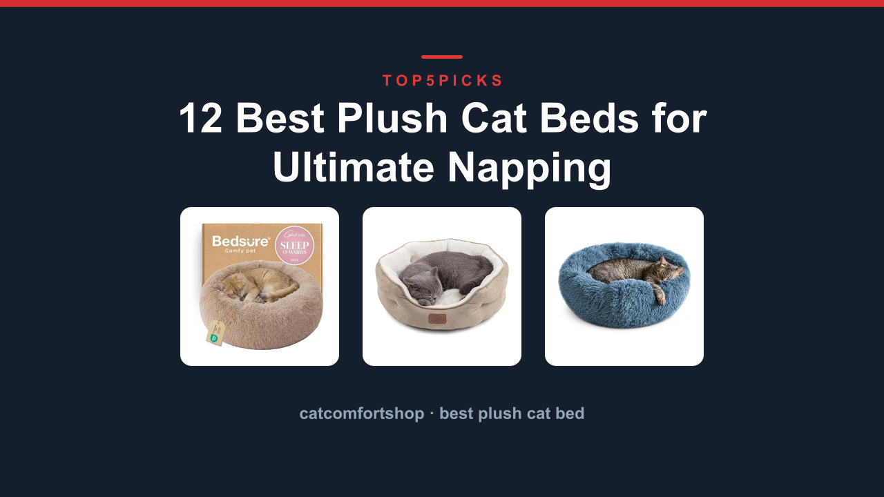 12 Best Plush Cat Beds for Ultimate Napping