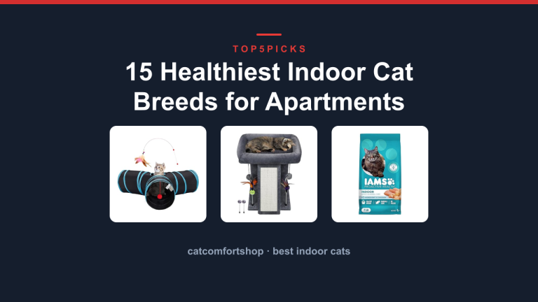 15 Healthiest Indoor Cat Breeds for Apartments