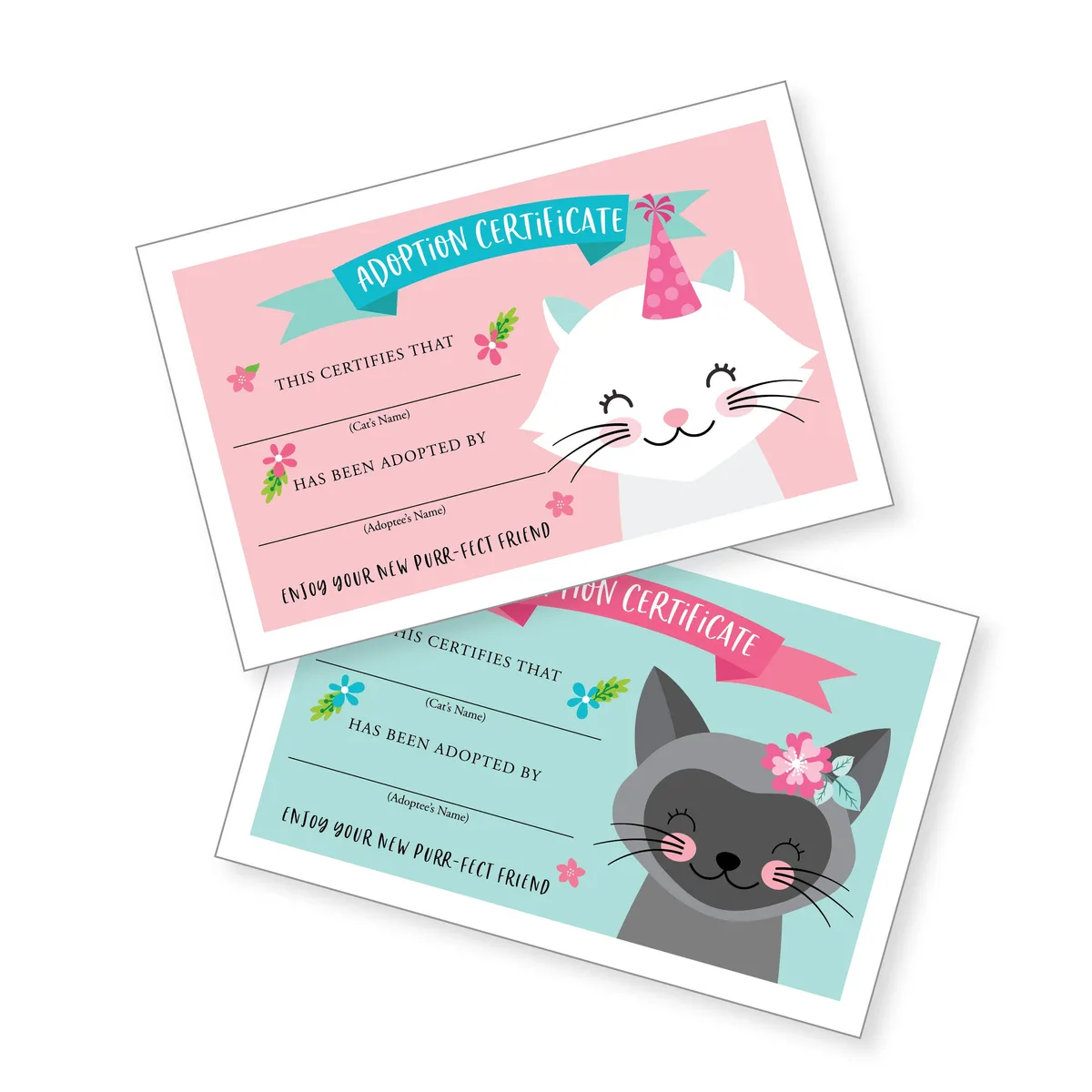 adoptable cats