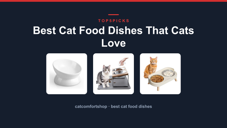 Best Cat Food Dishes That Cats Love