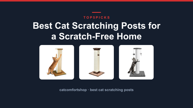 Best Cat Scratching Posts for a Scratch-Free Home