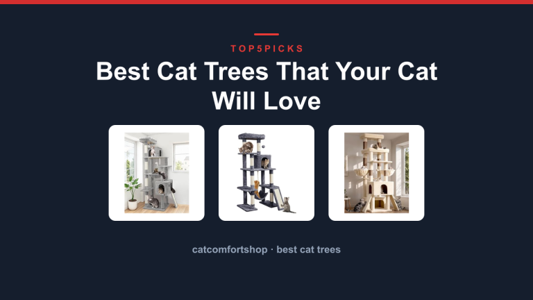 Best Cat Trees That Your Cat Will Love