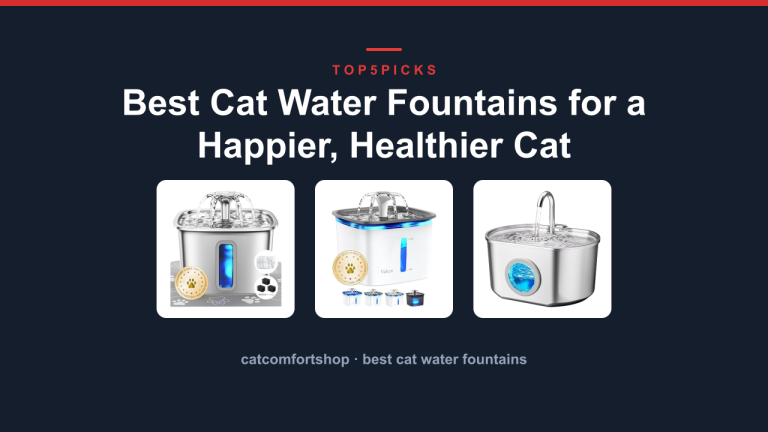 Best Cat Water Fountains for a Happier, Healthier Cat