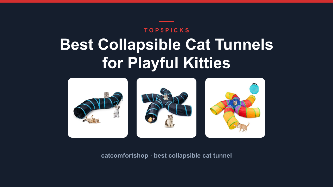 Best Collapsible Cat Tunnels for Playful Kitties