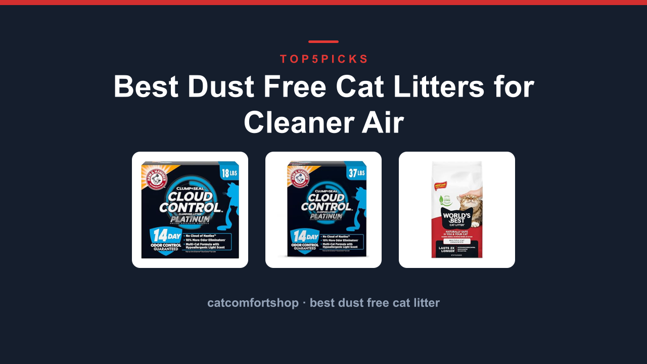 Best Dust Free Cat Litters for Cleaner Air
