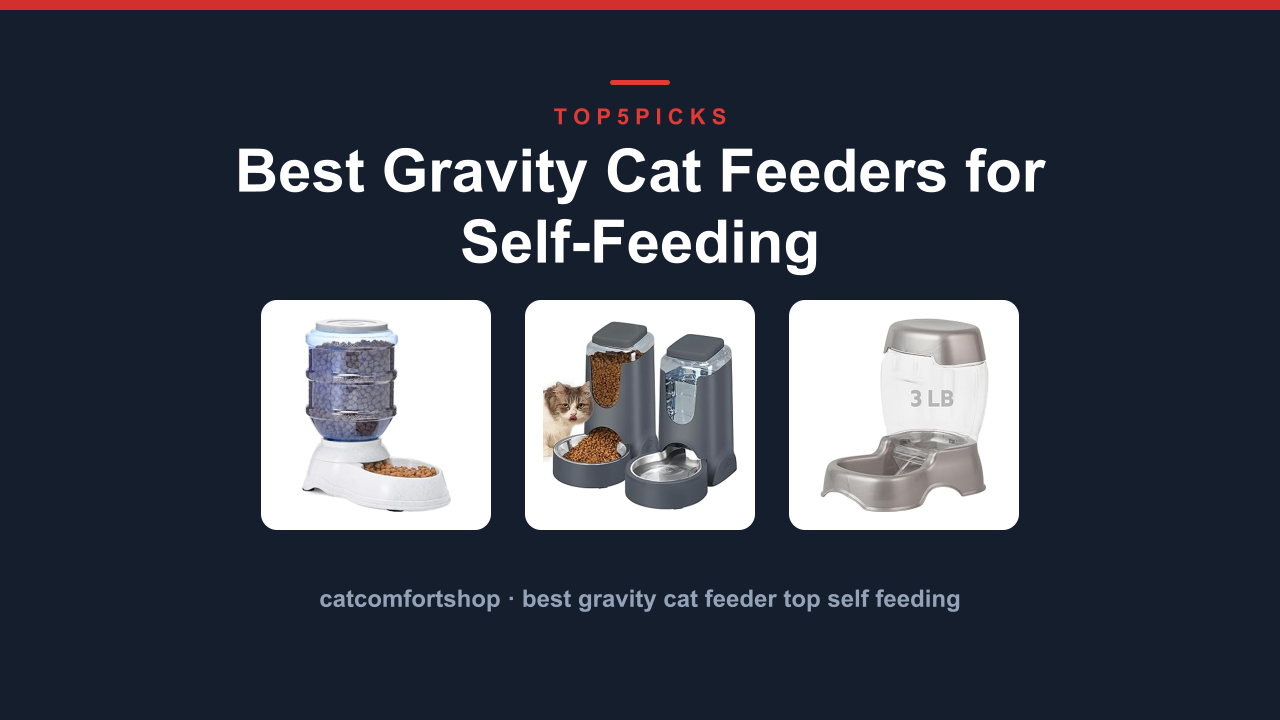 Best Gravity Cat Feeders for Self-Feeding