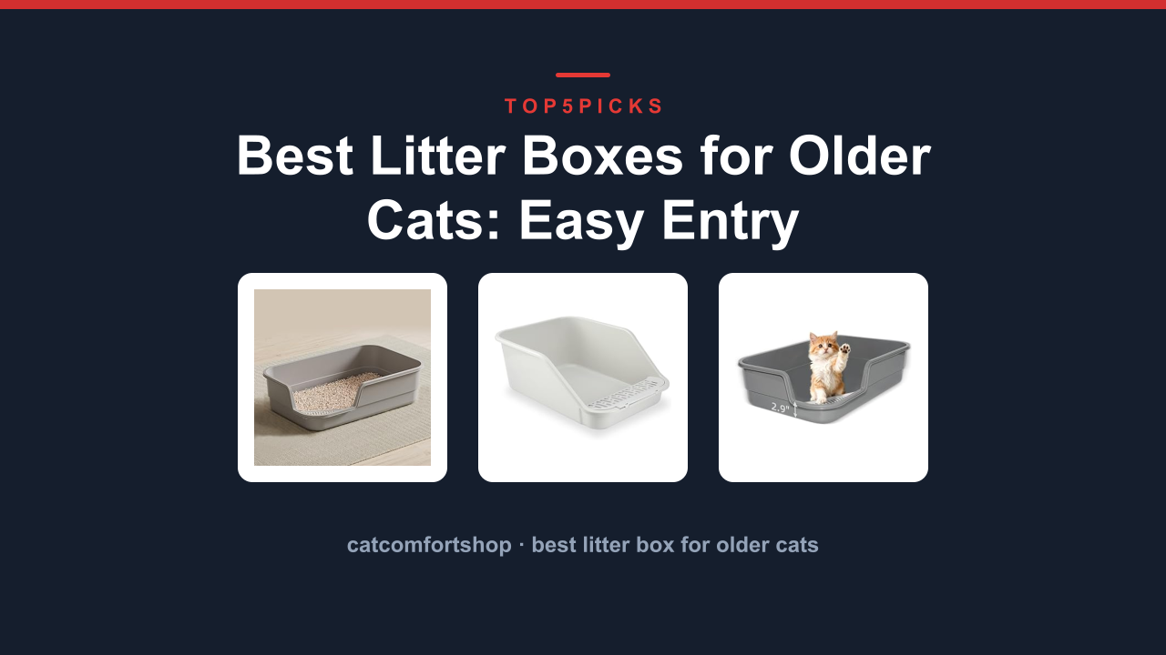 Best Litter Boxes for Older Cats: Easy Entry