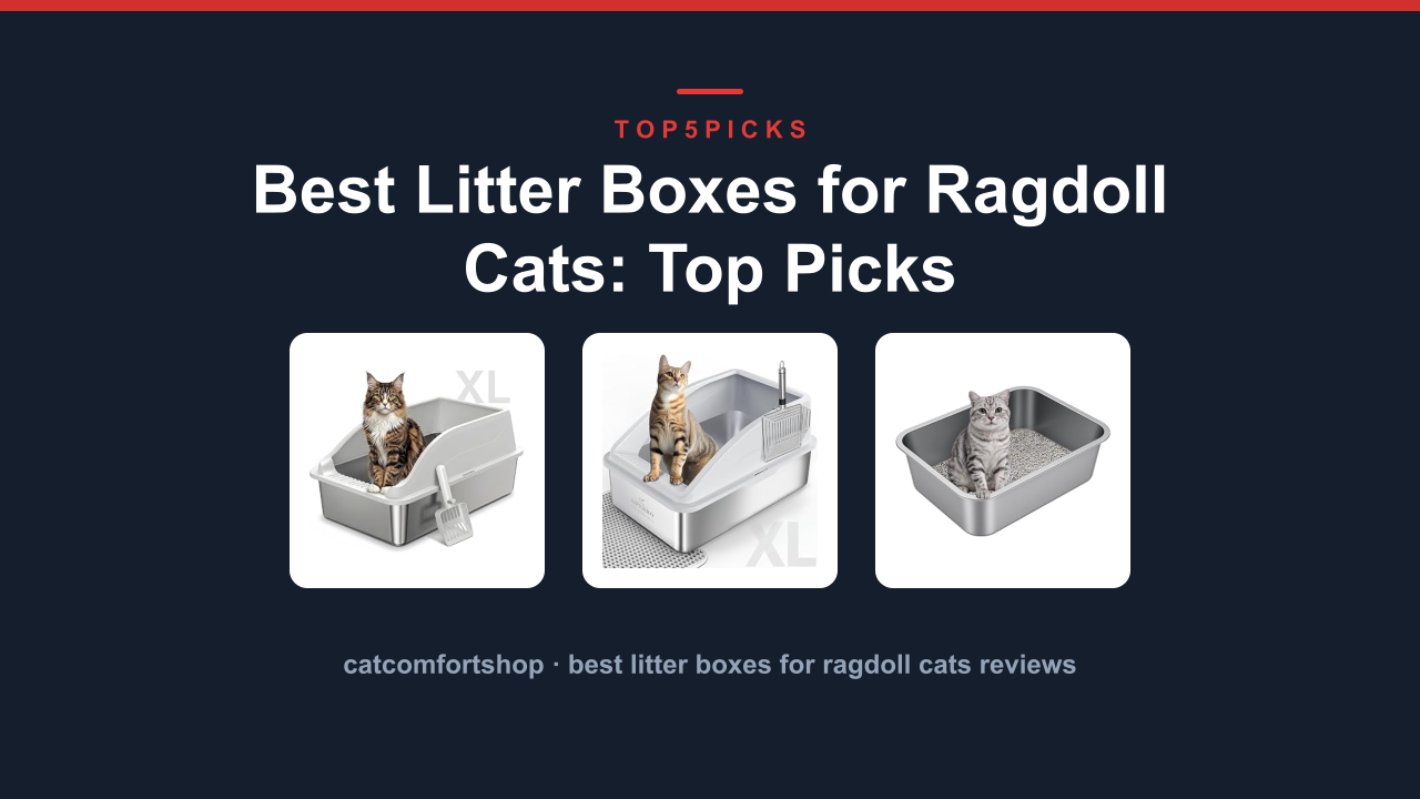 Best Litter Boxes for Ragdoll Cats: Top Picks