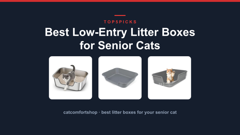 Best Low-Entry Litter Boxes for Senior Cats