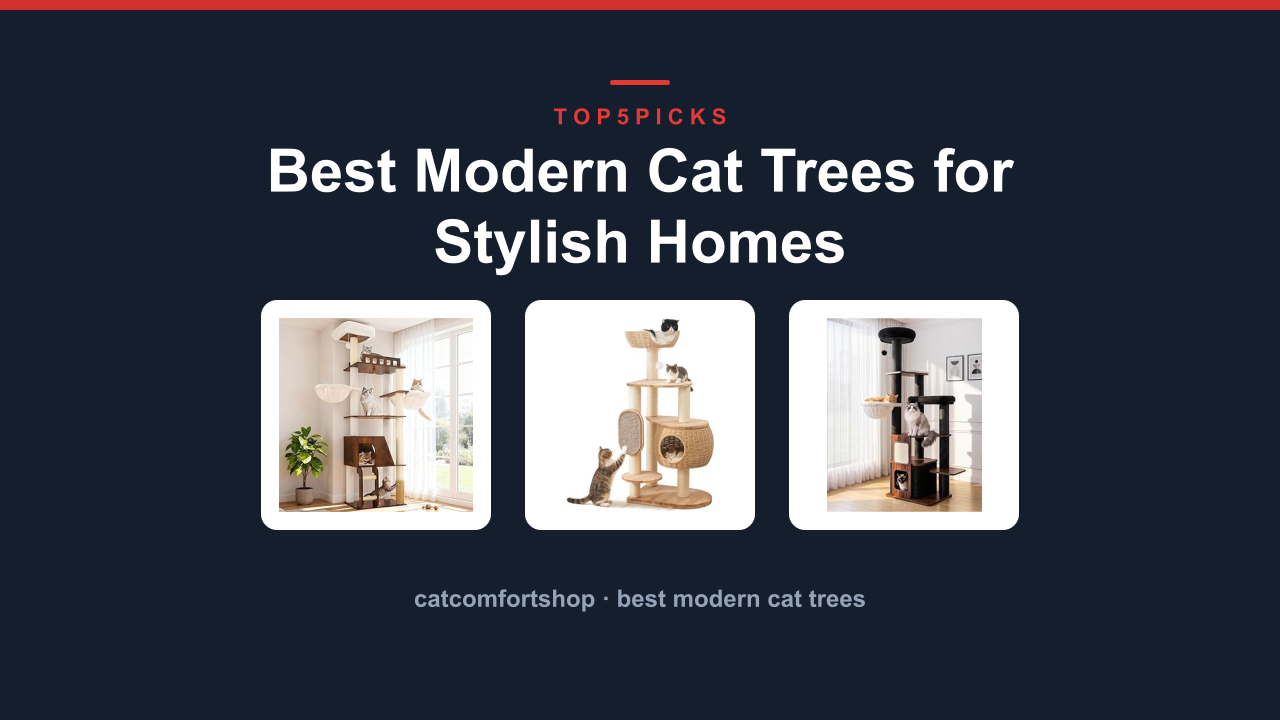 Best Modern Cat Trees for Stylish Homes