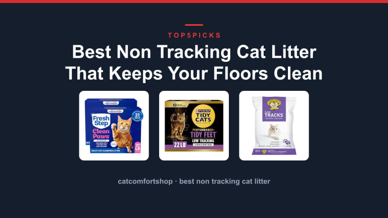 Best Non Tracking Cat Litter That Keeps Your Floors Clean