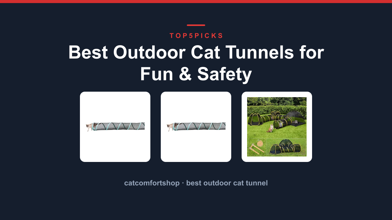 Best Outdoor Cat Tunnels for Fun & Safety