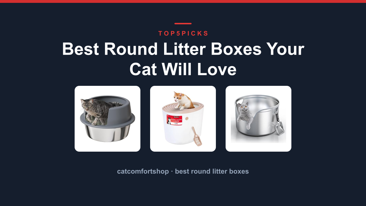 Best Round Litter Boxes Your Cat Will Love