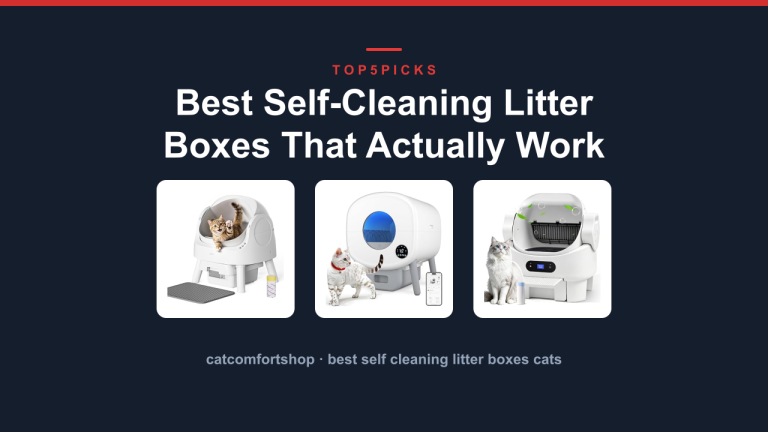 Best Self-Cleaning Litter Boxes That Actually Work