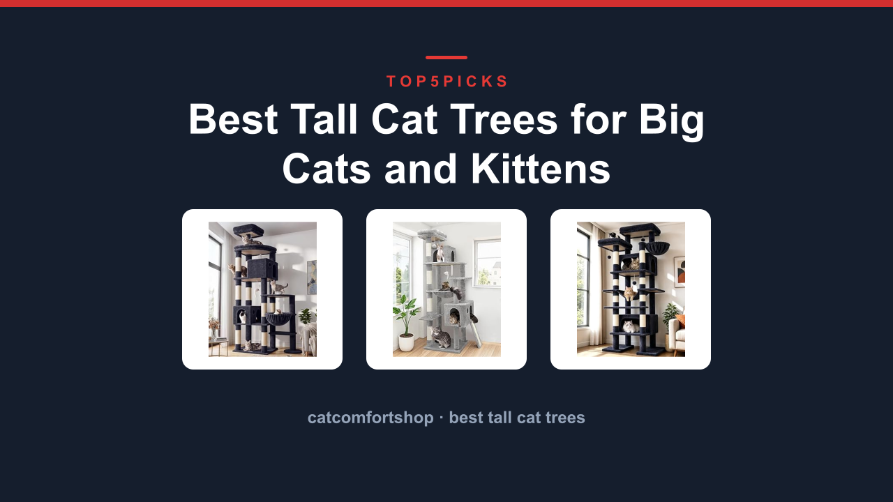 Best Tall Cat Trees for Big Cats and Kittens