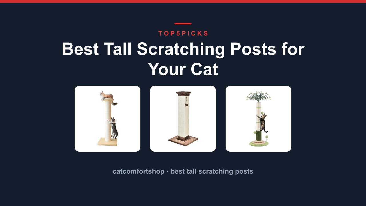 Best Tall Scratching Posts for Your Cat