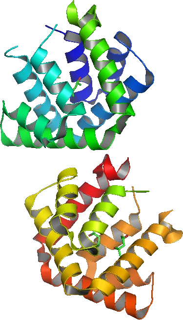 Cat allergens Fel d 1 protein