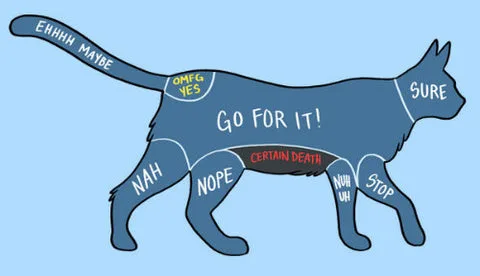 cat belly overstimulation zones diagram