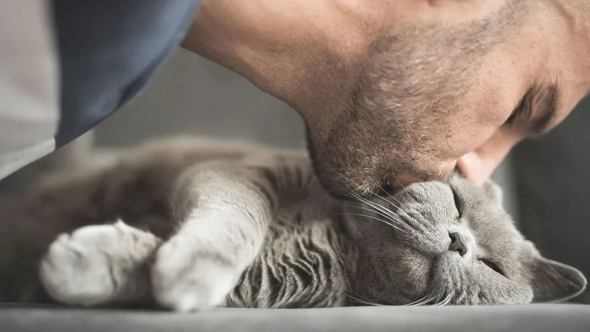 cat bonding trust behavior