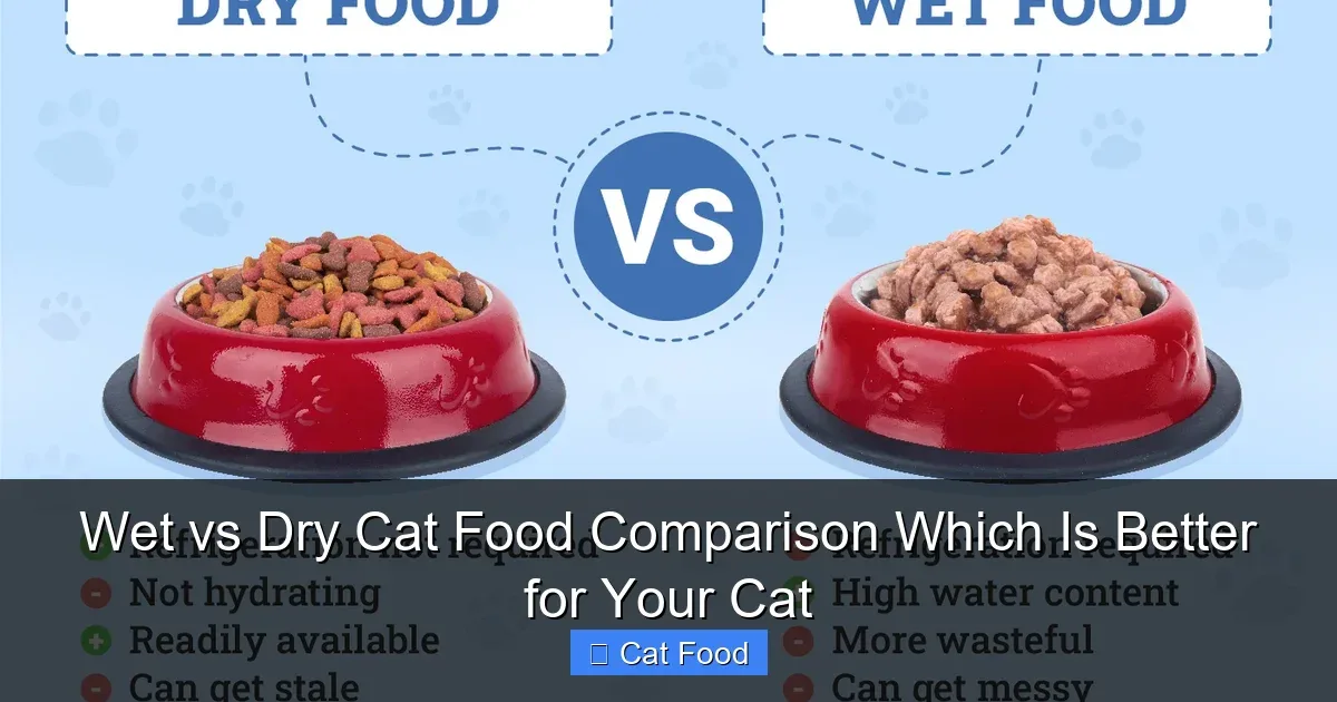 cat diet comparison wet kibble raw