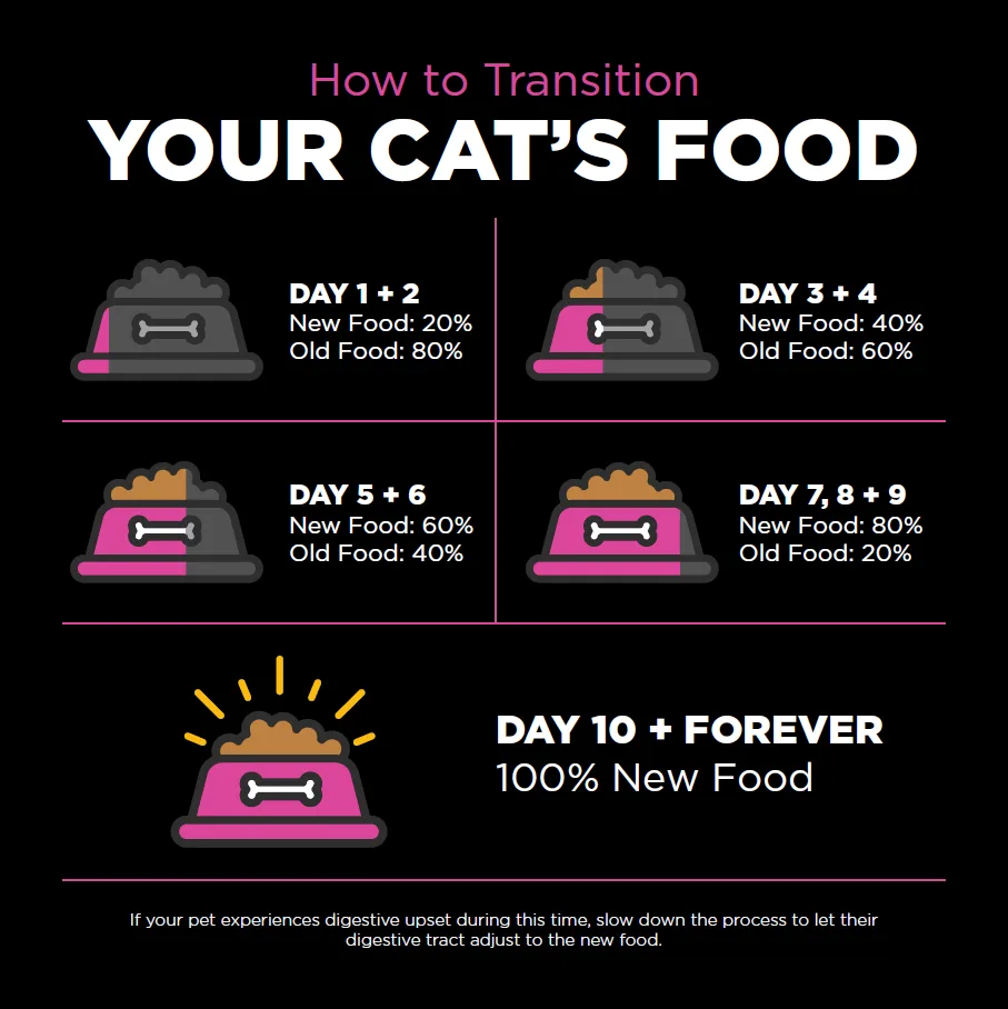 cat food transition