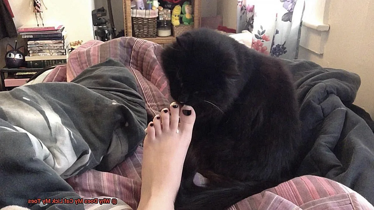 cat licking foot affection