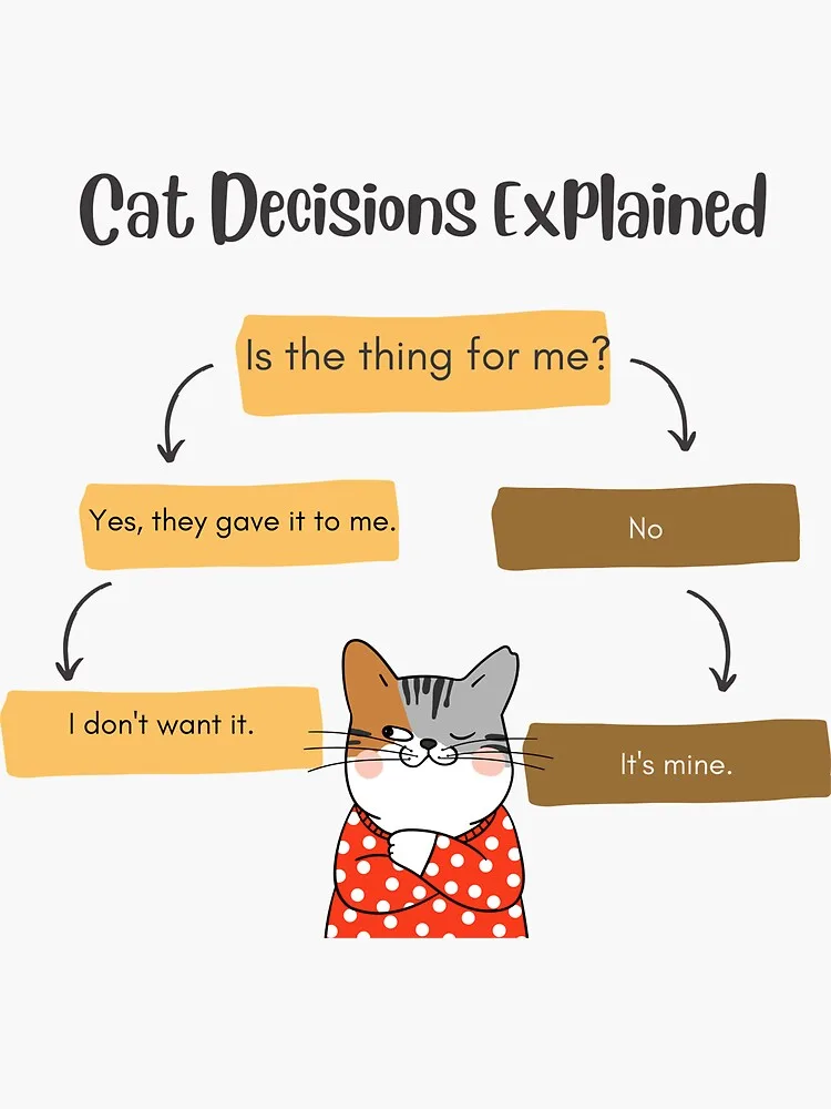 Cat personality typology