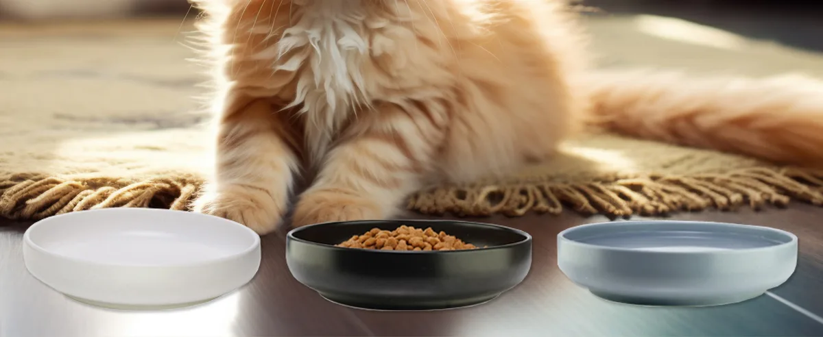 cat-safe broths