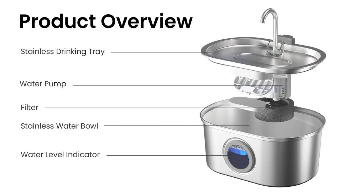 cat water fountain anatomy