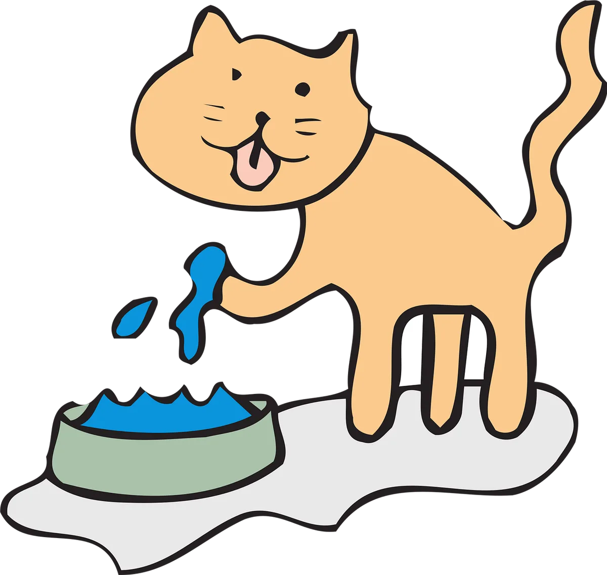 cat water intake comparison