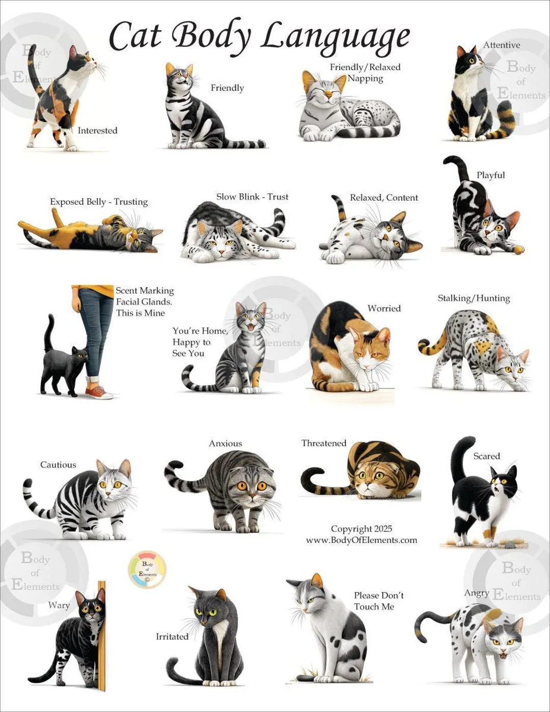 Contentment purring vs. distress/solicitation purring