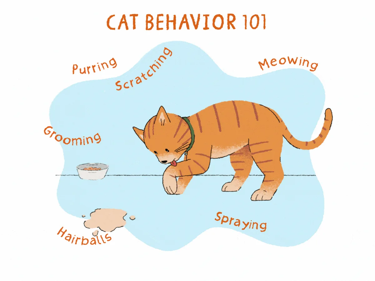 decision tree cat behavior