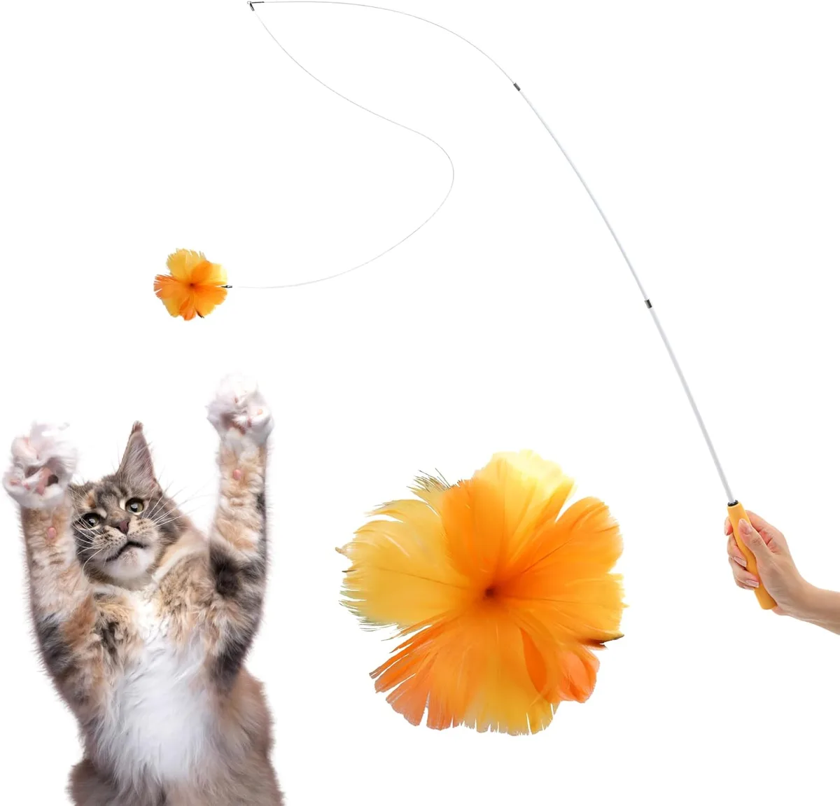 feather wand toy