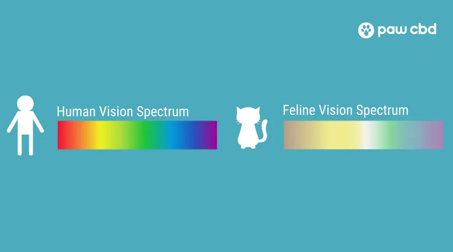 feline color vision