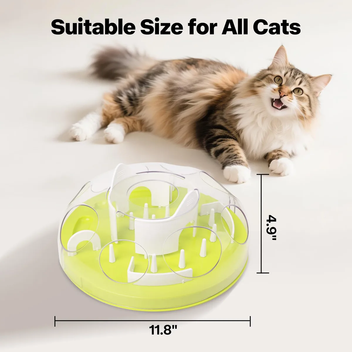 feline enrichment toy