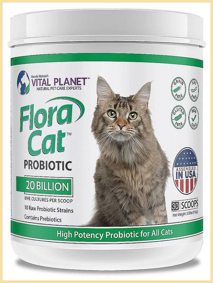 feline probiotics