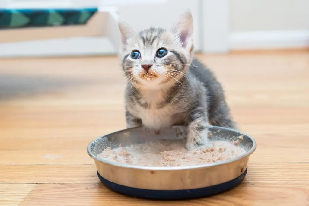 gruel recipe
