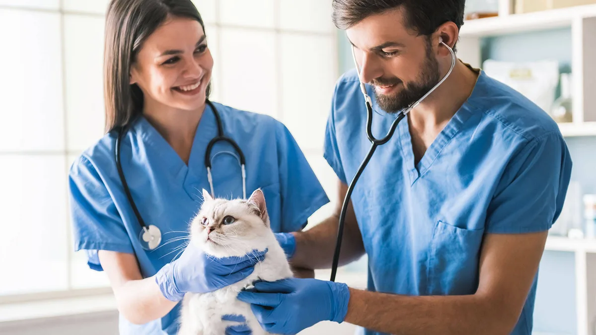 Health-related underlying cause