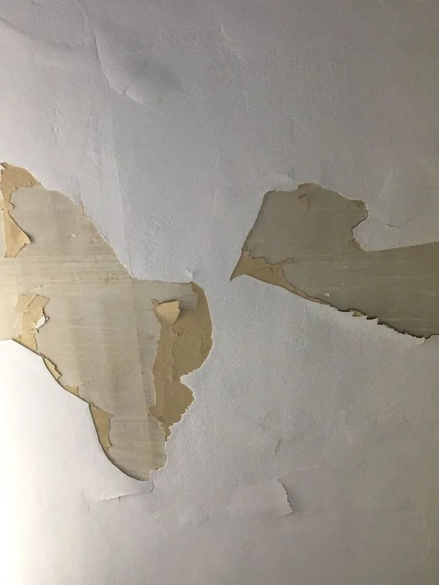 lead paint hazard