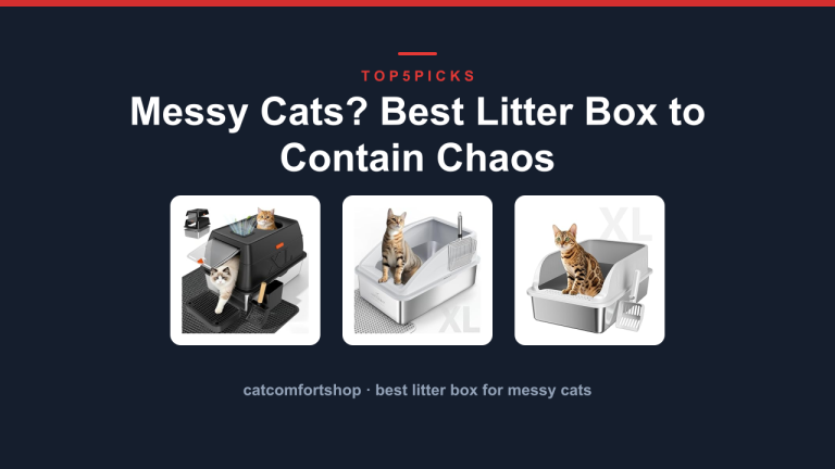 Messy Cats? Best Litter Box to Contain Chaos