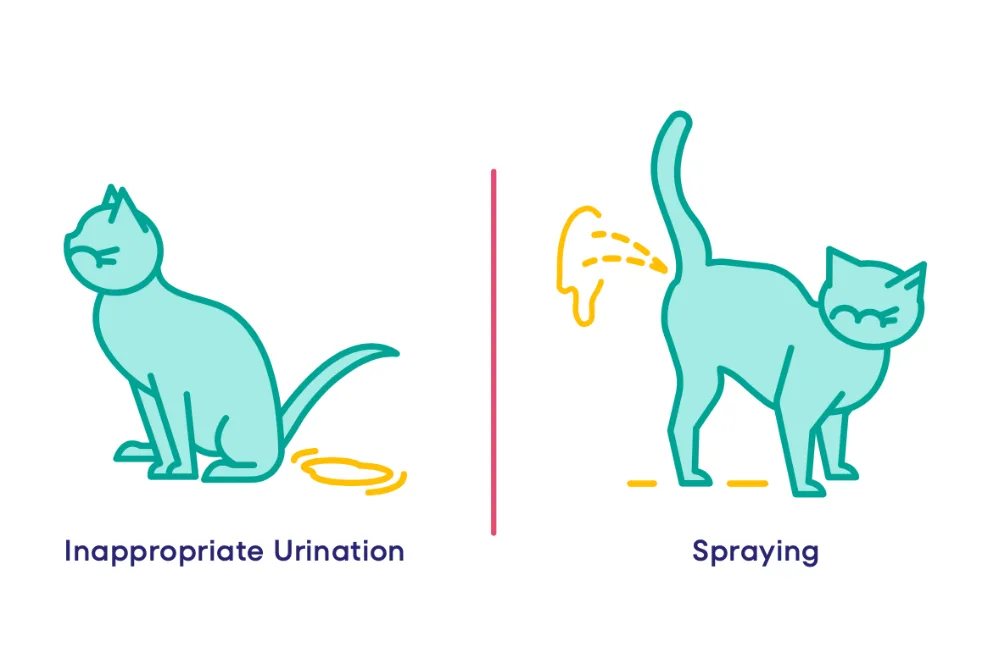 peeing vs spraying