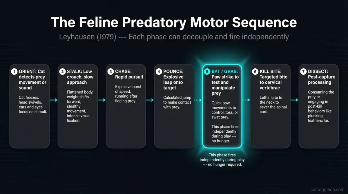 predatory behavior sequence