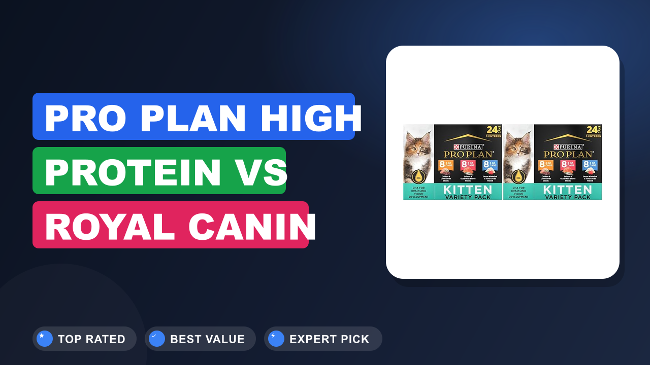 Pro Plan High Protein vs Royal Canin Ragdoll: Which Is Better?