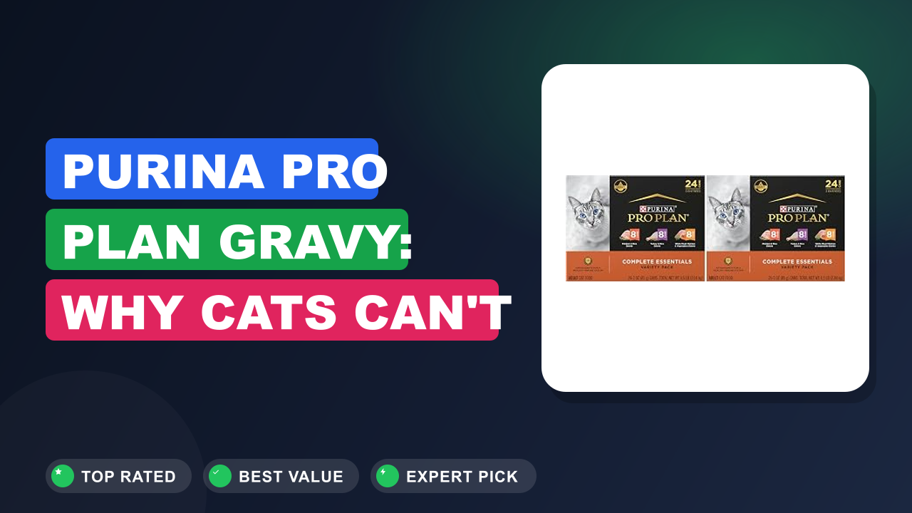 Purina Pro Plan Gravy: Why Cats Can't Resist It