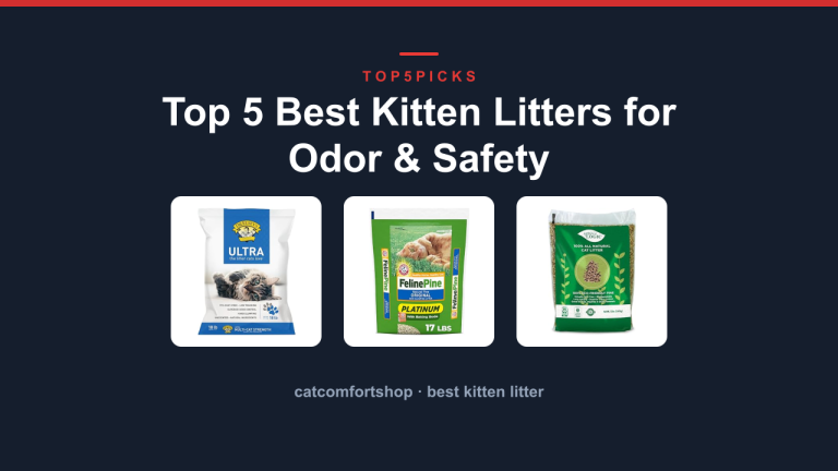 Top 5 Best Kitten Litters for Odor & Safety